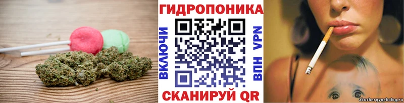 MEGA   Домодедово  Еда ТГК марихуана 