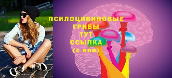 мет Бородино