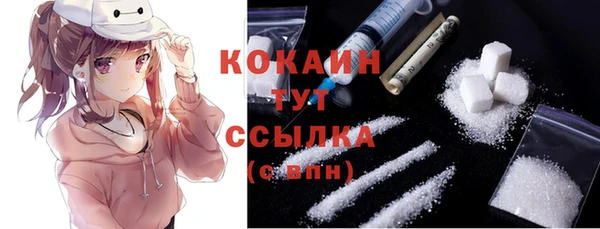 мет Бородино