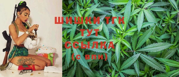 мет Бородино
