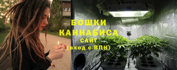 мет Бородино